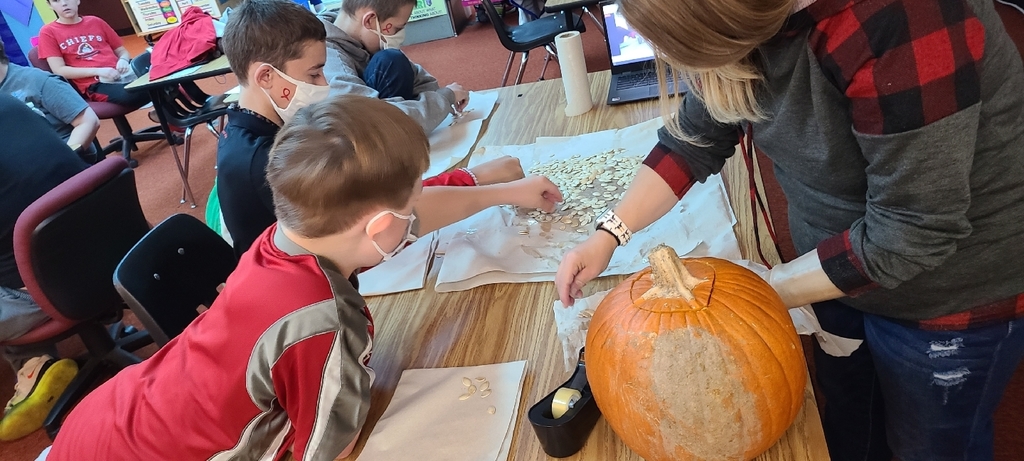 pumpkin investigation